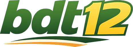 bdt 12 homepage logo for Bangladesh users